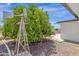 Lush backyard featuring a decorative windmill and mature citrus tree at 2241 N Nicklaus Dr, Mesa, AZ 85215
