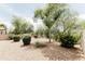 Spacious backyard featuring decorative trees and plants set in desert landscaping at 25640 N 108Th Dr, Peoria, AZ 85383