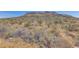 Desert mountain view featuring rugged terrain, shrubs, and native foliage under a clear blue sky at 4041 W Hackamore Dr, Phoenix, AZ 85083