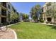 Lush community green space perfect for recreation and relaxation between townhomes at 4236 N 27Th St # 37, Phoenix, AZ 85016