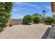 Large backyard with gravel, desert landscaping, citrus trees, and block wall at 4332 E Cassia Ln, Gilbert, AZ 85298