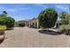 Expansive backyard featuring gravel landscaping, mature trees and covered patio at 4332 E Cassia Ln, Gilbert, AZ 85298
