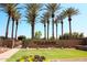 Inviting community entrance features lush landscaping, a well-manicured lawn, and towering palm trees against a clear blue sky at 43615 W Roth Rd, Maricopa, AZ 85138