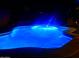 Night view of a swimming pool, illuminated by vibrant blue lighting, creating a visually striking and inviting outdoor space at 43615 W Roth Rd, Maricopa, AZ 85138