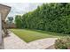 Large backyard with well-manicured lawn, mature hedges, and paved patio area, ideal for outdoor entertaining at 4443 W Acoma Dr, Glendale, AZ 85306