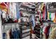 Walk in closet featuring shelving, rods, and drawers for plenty of storage at 500 N Roosevelt Ave # 26, Chandler, AZ 85226