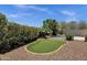 Lush backyard featuring a pool, mature trees, and well-maintained landscaping at 5342 S Citrus Ct, Gilbert, AZ 85298