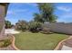 Well-maintained backyard featuring artificial grass, desert plants, and a stone border around the landscaped area at 5342 S Citrus Ct, Gilbert, AZ 85298
