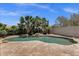 Backyard pool area with mature palm trees and rock waterfall feature at 5342 S Citrus Ct, Gilbert, AZ 85298