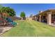 Expansive backyard featuring lush lawn, covered patio, and play structure for outdoor enjoyment at 6357 W Potter Dr, Glendale, AZ 85308