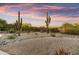 Desert backyard featuring mature cacti, custom rock feature and natural desert landscape at 7304 E Bent Tree Dr, Scottsdale, AZ 85266