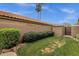 Private backyard with lush landscaping, a well-maintained lawn, block wall and storage shed at 1558 W Maplewood St, Chandler, AZ 85286