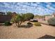 Backyard featuring desert landscaping, decorative rocks, and secure perimeter fencing at 17111 S 180Th Ln, Goodyear, AZ 85338