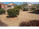Landscaped backyard with desert plants and secure wrought iron fencing at 17111 S 180Th Ln, Goodyear, AZ 85338