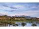 Scenic view of lush landscaping, palm trees, and lake in front of distant mountains at 17111 S 180Th Ln, Goodyear, AZ 85338