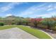Gorgeous backyard with manicured landscaping, artificial turf, and bougainvillea bushes at 1847 N Red Clf, Mesa, AZ 85207