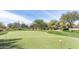 Well manicured community putting green surrounded by desert landscaping, mature trees, and a clear blue sky at 1847 N Red Clf, Mesa, AZ 85207