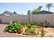 Thriving garden with diverse plants and flowers inside stone edging, accented by palm trees at 3605 W Pecos Rd, Chandler, AZ 85226
