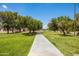 Scenic park view with a concrete walkway, green grass, and shade trees at 3605 W Pecos Rd, Chandler, AZ 85226