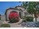 Well maintained front yard with a large flowering bush and desert landscaping at 3812 W Carlos Ln, San Tan Valley, AZ 85144