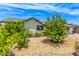 View of a charming single story home featuring beautiful landscaping and a spacious front yard at 4028 W El Camino Dr, Phoenix, AZ 85051
