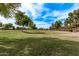 Expansive grassy area with mature trees, ideal for recreation and relaxation at 45574 W Tulip Ln, Maricopa, AZ 85139