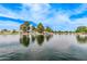 Scenic pond with tranquil waters, mature trees and rock features reflecting the clear blue sky at 45574 W Tulip Ln, Maricopa, AZ 85139
