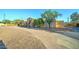 Beautiful single-story home showcasing a long driveway, desert landscaping, and stone accents at 6519 E Cactus Rd, Scottsdale, AZ 85254