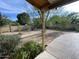 View of the grassy backyard with mature trees and patio at 664 N Glenview --, Mesa, AZ 85213
