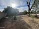 View of the grassy backyard with mature trees at 664 N Glenview --, Mesa, AZ 85213