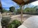 Spacious backyard with mature trees, privacy fence, and concrete patio at 664 N Glenview --, Mesa, AZ 85213