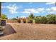 Expansive backyard featuring decorative rock landscaping and mature plants provides privacy and serene outdoor living at 8913 S Forest Ave, Tempe, AZ 85284