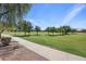 View of the park with lush green grass and mature trees, perfect for outdoor activities and relaxation at 93 S Sandstone St, Gilbert, AZ 85296