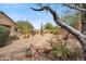 View of native desert landscaped backyard from beneath a tree with bench seating at 1029 E Ian Dr, Phoenix, AZ 85042