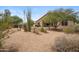Desert landscaped backyard with native plants, gravel, and view of the house at 1029 E Ian Dr, Phoenix, AZ 85042
