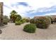 Desert backyard featuring rock landscaping and blooming oleander bushes add color and charm to the outdoor space at 16514 W Sandia Park Dr, Surprise, AZ 85374