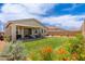 Beautiful backyard featuring lush green grass, patio with seating area, and vibrant flower beds at 19968 W Flower St, Buckeye, AZ 85396