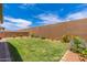 Spacious backyard with lush lawn, mature landscaping, and a high block wall for privacy at 19968 W Flower St, Buckeye, AZ 85396