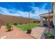 Landscaped backyard featuring a well-maintained lawn, paver patio, desert plants, and a privacy fence at 19968 W Flower St, Buckeye, AZ 85396