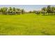 Aerial view of a large grassy field with mature trees offering a place to relax at 2102 S Sabrina --, Mesa, AZ 85209