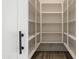 Large, walk-in pantry with built-in shelving for organized storage at 34449 N Elk Run Rd, San Tan Valley, AZ 85143