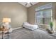 Bright bedroom featuring plush gray carpeting, a ceiling fan, and a large window allowing ample natural light at 42023 N Bridlewood Way, Anthem, AZ 85086