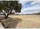 Expansive grassy field adjacent to residential area, shaded by a mature tree, offering recreational space at 7026 S 40Th Pl, Phoenix, AZ 85042