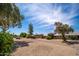 Expansive backyard with desert landscaping and mature trees, offering a serene outdoor setting at 12831 W Maplewood Dr, Sun City West, AZ 85375