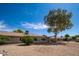 Enjoy the spacious gravel landscaped backyard with mature trees providing great shade at 12831 W Maplewood Dr, Sun City West, AZ 85375