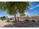 A beautiful single Gathering home with desert landscaping, shade trees, and a privacy wall in front at 12831 W Maplewood Dr, Sun City West, AZ 85375