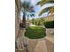 A beautiful, landscaped backyard with green turf, decorative rocks and lush green bushes surrounding the perimeter at 14380 W Monte Vista Rd, Goodyear, AZ 85395