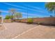 Spacious backyard with desert landscaping, brick border, and a tall brick wall for privacy at 1520 N Milly Pl, Casa Grande, AZ 85122