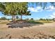 Picturesque view of a community with homes nestled among mature trees and well-manicured lawns under a sunny sky at 15534 W Big Sky Dr, Surprise, AZ 85374