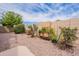 Landscaped backyard with desert plants, fruit trees and gravel at 1555 E Monterey St, Chandler, AZ 85225
